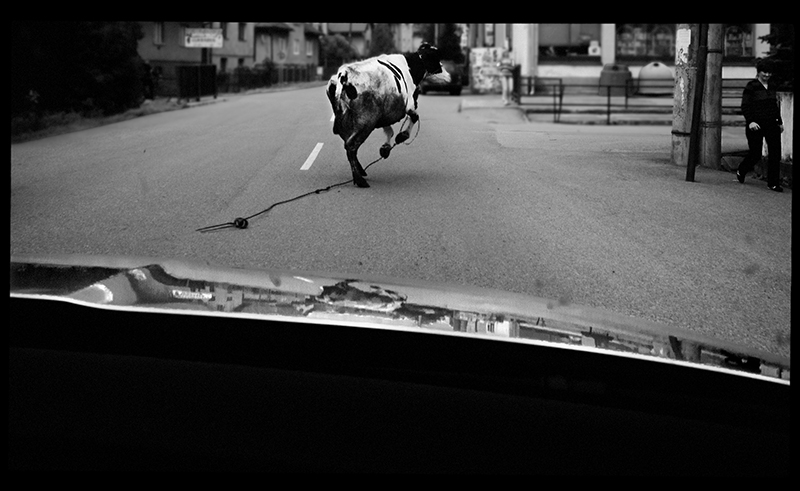 Foto / Photography